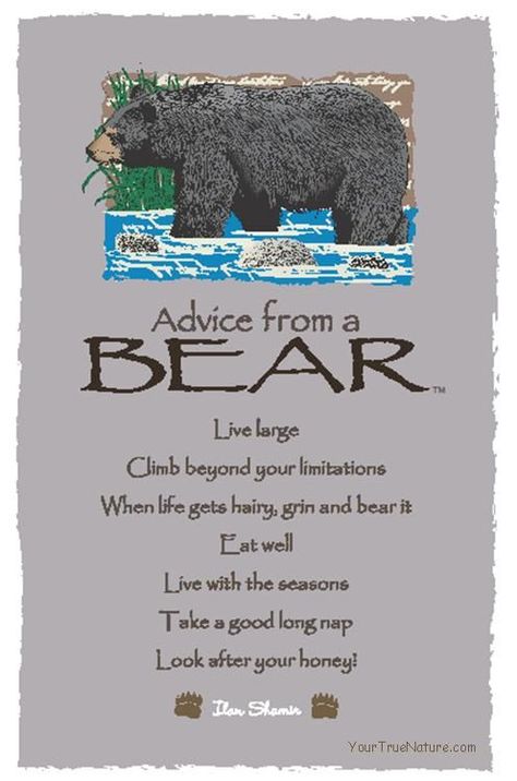 Advice from a Bear Actual Advice, Totem Animals, Bear Totem, Wood Badge, Animal Spirit Guides, Magical Moments, Advice Quotes, Animal Totems, Spirit Guides