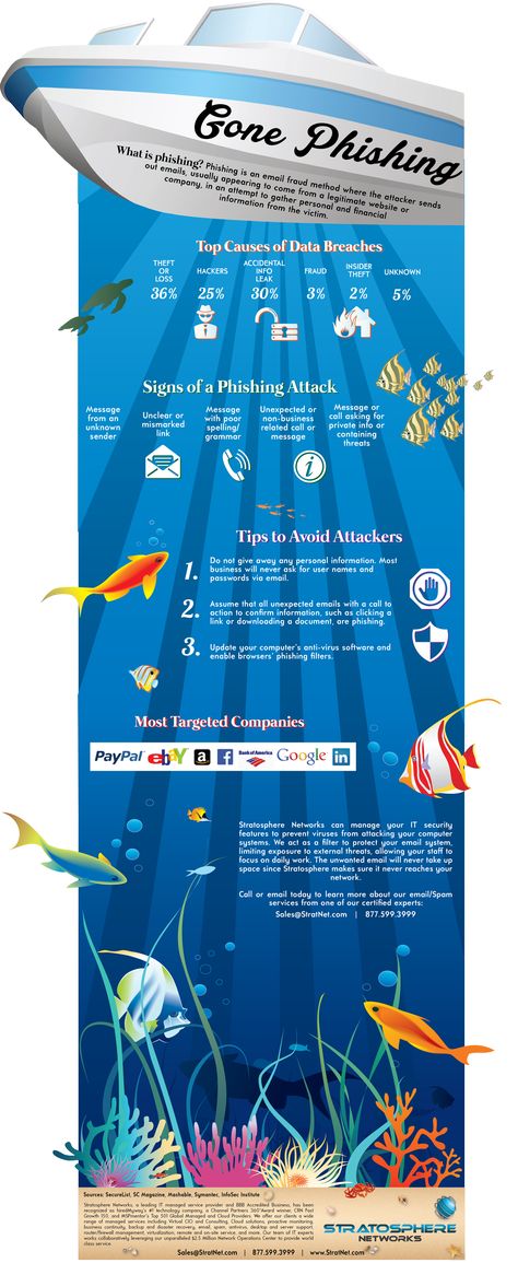 Phishing infographic Phishing Infographic, Tech Hacks, Business Trends, Training And Development, Office 365, Educational Websites, Microsoft Office, Creative Design, Microsoft