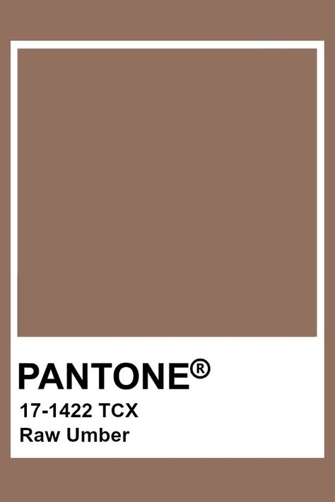 Pantone Raw Umber Pantone Swatches Brown, Raw Umber Color Aesthetic, Pantone Colors Brown, Light Brown Pantone, Autumn Pantone, Earthy Collage, Pantone Brown, Beige Pantone, Umber Color