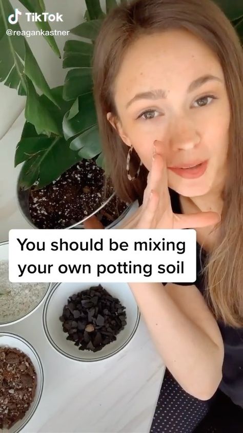 helloplantlover on Instagram: Hello plant lover, here’s one of our fave plant hacks. Getting the right soil mix for your planties 🍃💚 Video by @reagankastner… Perfect Soil Mixture, Homemade Soil Mixture, Best Soil Mixture For Indoor Plants, Indoor Soil Mixture, Tropical Plant Soil Mixture, Indoor Plant Potting Soil Diy, Soil Mixture For Indoor Plants, Best Indoor Plant Soil Mixture, Houseplant Soil Mixture