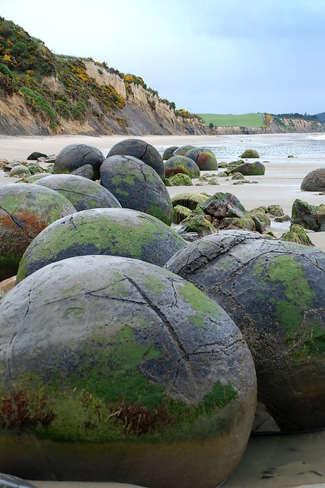 Moeraki Boulders, Koekohe Beach - Dunedin, New Zealand Moeraki Boulders, New Zealand Beach, Rio Carnival, Bucket Lists, New Zealand Travel, Natural Phenomena, Foodie Travel, Land Art, Travel Bucket