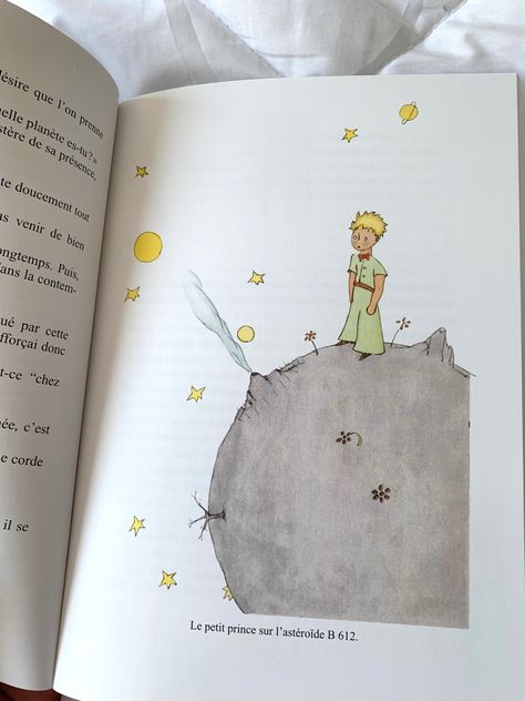 The Little Prince Aesthetic, Fall Aesthetic Drawing, Rhys Baker, The Little Prince Quotes, Le Petite Prince, The Little Prince Book, Baker Aesthetic, The Petit Prince, Aesthetic Books To Read