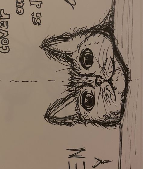 Rough Pen Sketches, Rough Sketches Doodles, Sketch Cat, Rough Sketches, Cat Pen, Pen Doodles, Cat Doodle, Cat Sketch, Pen Sketch