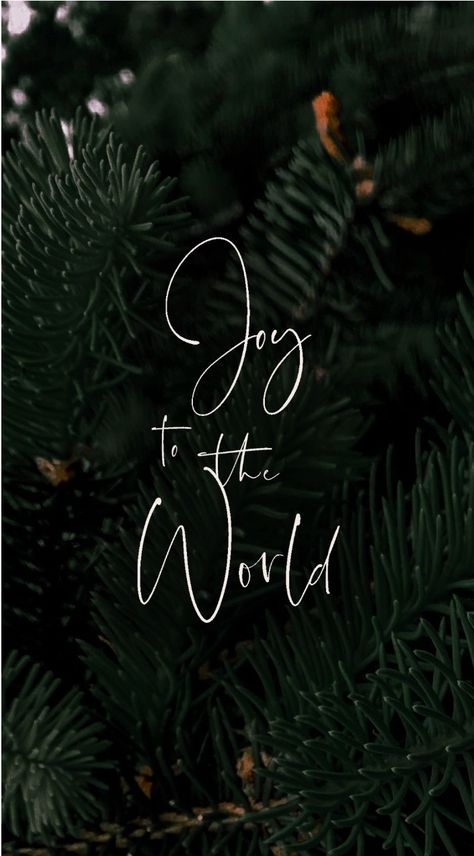 Joy To The World Wallpaper, The World Wallpaper, Wallpaper Bible Verse, Christmas Wallpaper Iphone, Morning Sister, Karan Singh, Iphone Quotes, Christmas Bible Verses, Church Backgrounds