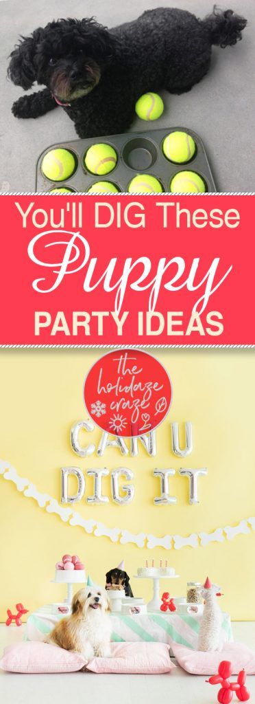 You’ll DIG These Puppy Party Ideas Party Ideas For Dogs, Puppy Shower Games, Dog Birthday Party Activities, Dog Party Games For Dogs, Puppy Dog Party Food, Dog Parties Ideas, Dog Park Party, Pup Party Ideas, Dog Park Birthday Party