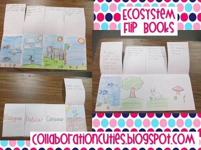 Collaboration Cuties: Free clipart, getting ready for testing, an ecosystems flipbook, and an upcoming linky!!! {five for friday flashback} Levels Of Organization In An Ecosystem, Producer Consumer Decomposer Activities, Decomposers Activity, Producers Consumers Decomposers, Apa Citation, Math Card Games, Fourth Grade Science, Third Grade Science, Food Chains