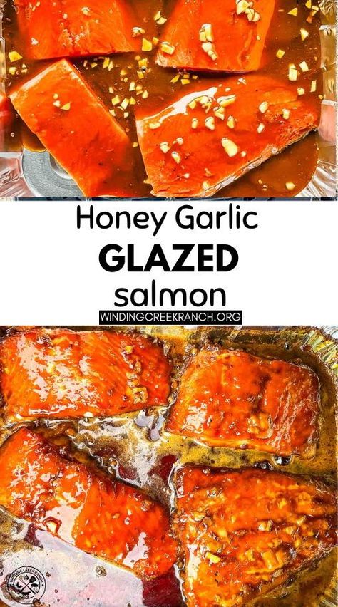 Bring out amazing flavor with this Honey Garlic Glazed Salmon! The sweet honey and savory garlic glaze pair beautifully with tender salmon for a quick and delicious dinner on your smoker! Honey Garlic Glazed Salmon, Smoked Salmon Recipe, Bbq Salmon, Honey Garlic Salmon, Smoked Salmon Recipes, Garlic Salmon, Honey Glazed, Glazed Salmon, Honey Glaze