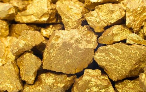 Gold Element, Gold Sand, Gold Rate, Gold Bullion, Gold Nugget, Gold Price, Real Gold, Dog Food Recipes, Food Animals