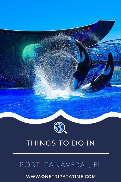 Cruising from Port Canaveral, FL and looking for things to see and do before or after your cruise? Check out these 10 great attractions and make your vacation last beyond your cruise.  #cruise #cruises #cruisetravel #cruising #thingstodoportcanaveral #PortCanaveral #Florida #portcanaveralattractions #USA Port Canaveral Florida Things To Do, Los Angeles Cruise Port, Port Canaveral Florida, Disney Cruise Port Canaveral, Disney Port Orleans Riverside, Winter Resort, Cruise Ports, Spaceship Earth, Islands Of Adventure