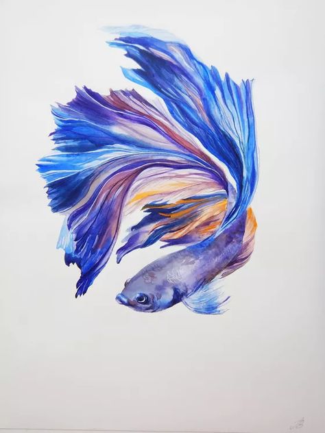 Results for "fish" in art | Artfinder Betta Fish Drawing, Beta Fish Drawing, Squirrel Art, Fish Drawing, Watercolor Fish, Fish Drawings, Cat Air, Fish Painting, Arte Animal