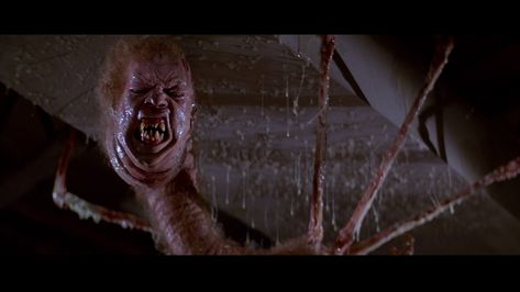 This is the alien from the thing (1982 version) interesting fact: it can take anyones dna and transform into them, making it really hard to tell who is human and who isnt! Scariest Monsters, The Thing 1982, Creepy Movies, Linda Blair, Practical Effects, Weird Fiction, Mary Elizabeth Winstead, Best Horror Movies, Evil Dead