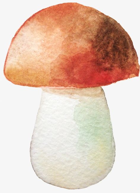 Watercolor Mashrom, Easy Mushroom Watercolor, Mushroom Watercolor Paintings Easy, Mushroom Watercolor Art, Watercolor Art Mushrooms, Watercolor Inspirations Beginner, Mushroom Watercolor Paintings, Watercolour Mushroom, Mushrooms Watercolor