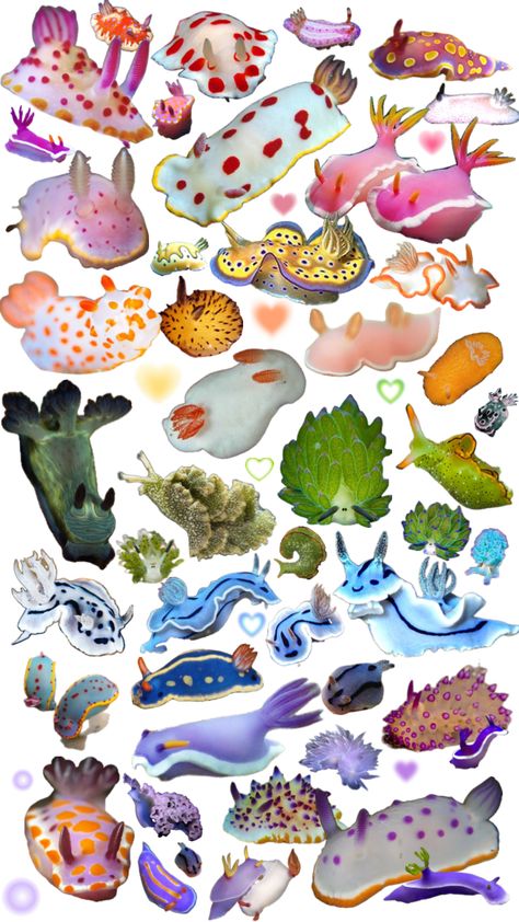 rainbow sea slug sea bunny party omg omg !!! Sea Slug Wallpaper, Nudibranch Wallpaper, Sea Slug Character Design, Bunny Sea Slug, Sea Bunnies, Sea Bunny, Cute Moth, Sea Creatures Art, Marine Organism