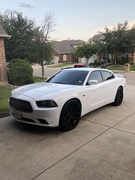 2013 hemi charger on viper replica 24s 2010 Dodge Charger Sxt, Dodge Charger 2011-2014, 2013 Dodge Charger Rt, 2012 Charger, 2006 Dodge Charger Rt, 2009 Dodge Charger, 2007 Dodge Charger, 2008 Dodge Charger, 2016 Dodge Charger