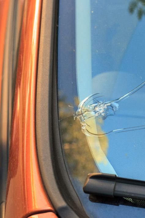 Cracked or chipped your windshield? Take a look at how it could've happened, and what you can do about it. Cracked Windshield, Safe Driving, Tesla Car, Car Repair, Car Windshield, Drive Safe, Black Dots, Driving Experience, Nature Travel