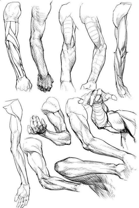 Comic Anatomy, Reference Hands, Super Drawing, Anatomy Notes, Arm Anatomy, Arm Drawing, Drawing Study, Male Anatomy, Hollow Night