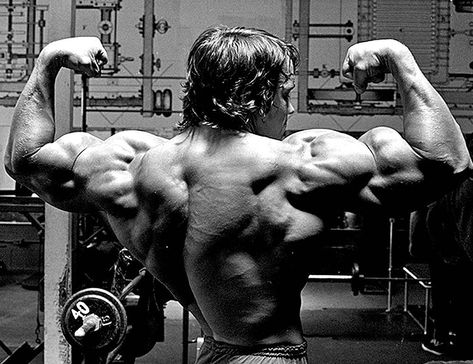 @bodybuilding70s on Instagram: “@schwarzenegger” Arnold Schwarzenegger Body, Dedication Page, Arnold Schwarzenegger Bodybuilding, Schwarzenegger Bodybuilding, Perfect Physique, Bodybuilding Pictures, Pumping Iron, Club Poster, Crossfit Gym