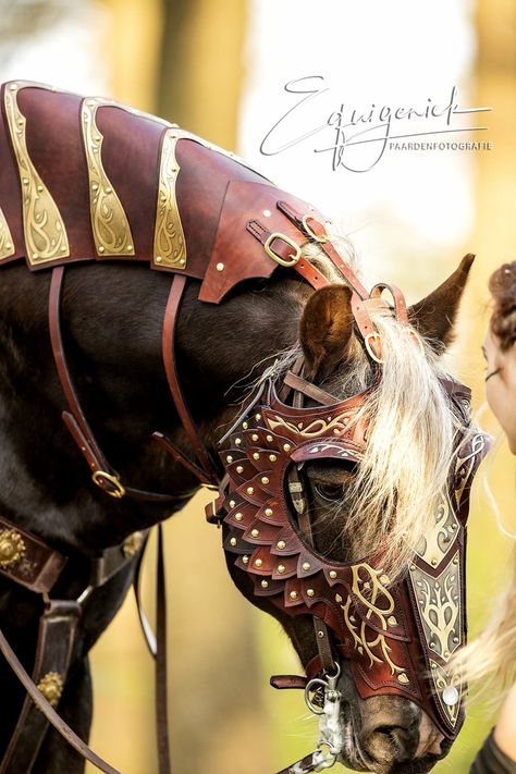 Medieval Horse, Horse Costumes, Horse Armor, Fantasy Horses, Horse Bridle, Horse Gear, Horse Face, All The Pretty Horses, Draft Horses