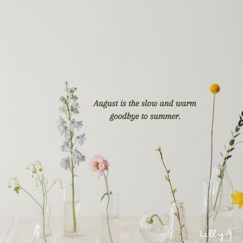 August is the slow and warm goodbye to summer. #august #goodbyesummer #quotes #lilly Goodbye Summer Quotes, Goodbye August, Summer August, Goodbye Summer, Summer Quotes, Vision Boards, Place Card Holders, Quotes, Quick Saves