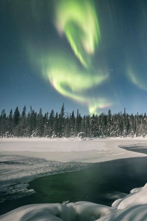 Boreal Forest Aesthetic, Snow Forest Aesthetic, Tundra Aesthetic, Tundra Biome, Siberian Forest, Canada Snow, Snow Camping, Magic Snow, Snow Lake