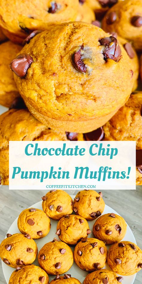 Chocolate Chip Pumpkin Muffins! They are sweet, moist, and full of chocolate. Pumpkin makes these muffins a delicious healthy snack! These muffins are made with healthier ingredients, to make a yummy healthy treat. They are perfect for Halloween, Thanksgiving, and Christmas snacks. #chocolatechipmuffins #pumpkinmuffins #pumpkinchocolatechipmuffins #healthysnack #holidayrecipe #muffins Healthy Pumpkin Chocolate Chip Muffins, Chocolate Chip Pumpkin Muffins, Low Calorie Pumpkin, Chocolate Pumpkin Muffins, Pumpkin Chocolate Chip Muffins, Pumpkin Spice Muffins, Healthy Chocolate Chip, Healthy Muffin Recipes, Muffin Tin Recipes