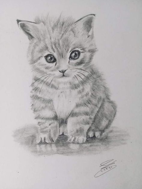 baby kitten sketch #photo credit to the right owner Drawing Cat Face, Cat Drawing Wallpaper, Kitten Sketch, Cat Hand Drawing, Kitty Sketch, Cat Face Drawing, Sketch Photo, Kitten Drawing, Realistic Sketch