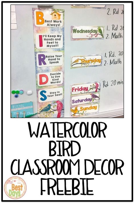 Teachers, do you need some easy to use rules for your bird themed classroom?  Check out this FREEBIE and discover all the must-haves for your classroom to function easily and effectively! The link found in the blog post will guide you to the FREE BIRD THEME RULES!  Watercolor Bird Theme rules never looked this good! Decorate your bulletin boards and more with these great ideas and grab the rules for FREE!   #birdtheme #classroomdecor #freebie Birds Theme Classroom Decor, Birds Classroom Theme, Bird Theme Classroom, Elementary School Science, Kindergarten Freebies, Teachers Pay Teachers Seller, Class Decor, Math About Me, Theme Classroom