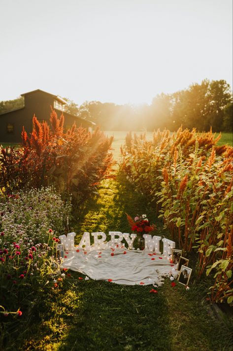 Proposal Ideas Picnic, Field Proposal, Simple Engagement Party Decorations, Proposal Ideas Beach, Wedding Proposal Ideas Engagement, Surprise Proposal Pictures, Picnic Proposal, Cute Proposal Ideas, Ideas Picnic