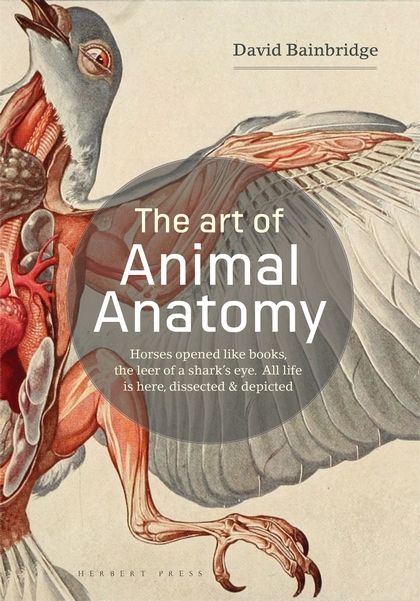 Comparative Anatomy, Georges Cuvier, Natural Philosophy, Animal Anatomy, Animal Study, Drawing Studies, Anatomy Drawing, Science Books, Zoology