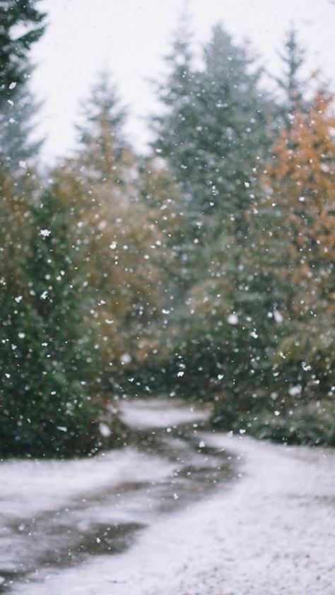 Winter Wallpapers, Acoustic Guitar Photography, Iphone Wallpaper Music, Winter Mood, Cosy Christmas, Cottage Christmas, Winter Photos, Winter Love, Christmas Feeling