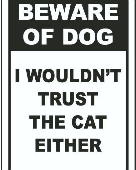 Signs Funny Humor, Motorcycle Humor, Beware Of Dog, Signs Funny, Sarcastic Quotes Funny, Dog Signs, Humor Funny, Sarcastic Quotes, Sign Quotes