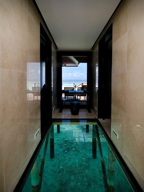 Glass Bottom Villa. Delux Water Villa, Lily Beach Resort & Spa in The Maldives. http://www.lilybeachmaldives.com/deluxewatervillaVR.html Quarantine Aesthetic, Hanna Schönberg, Water Villa, Photos Aesthetic, Water House, Blogger Lifestyle, Stunning Interior Design, Fotos Aesthetic, Indoor Swimming