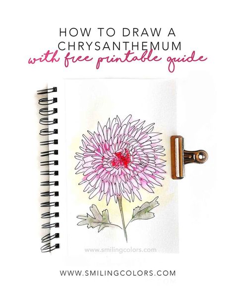 How to draw a chrysanthemum with a free printable guide - Smitha Katti Landscape Drawing Tutorial, Bullet Journal Pages, Easy Drawing Ideas, Pumpkin Drawing, Acrylic Painting Diy, Flower Drawings, Mums Flowers, Paint Flowers, Owls Drawing