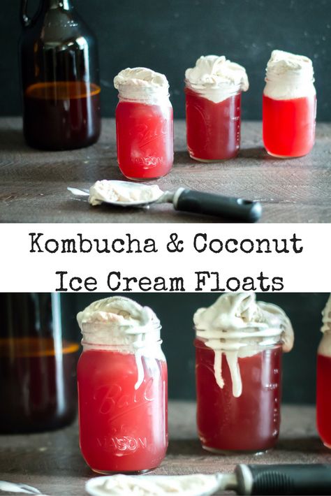 Kombucha & Coconut Ice Cream Floats! #paleo #plantbased #dairyfree #glutenfree Kombucha Recipe, Grain Free Desserts, Paleo Recipes Dessert, Coconut Ice, Ice Cream Floats, Easy Drink Recipes, Coconut Ice Cream, Delicious Drink Recipes, Paleo Snacks