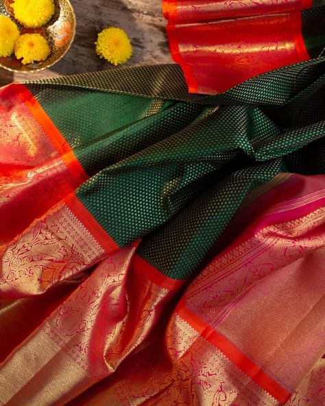 Kanjivaram Sarees Silk, Designer Sarees Online, Green Saree, Silk Cotton Sarees, Red Saree, Saree Trends, Current Fashion, Indian Saree, Kanchipuram Saree