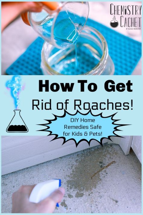 Kill Roaches Naturally, Home Remedies For Roaches, Repellent Diy, Diy Bug Repellent, Kill Roaches, Diy Bug Spray, Bug Spray Recipe, Kill Bugs, Diy Pest Control