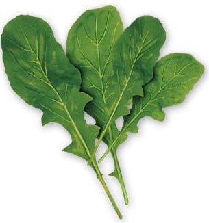 Arugula, also known as Rocket, is from the Brassica family. This plant is a wonderful addition to beginner gardens: they are quite hardy, grow quickly, and need very little care. Rocket Leaves, Green Bean Salads, Seed Kit, Beet Greens, Preserved Lemons, Plant Spacing, Watercress, Carne Asada, Green Vegetables