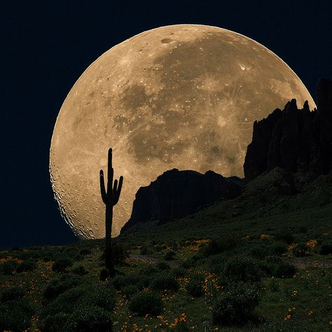 Beautiful moon Pixel Photography, Desert Moon, Fotografi Kota, Shoot The Moon, Moon Moon, Moon Pictures, Good Night Moon, Moon Rise, Arizona Usa