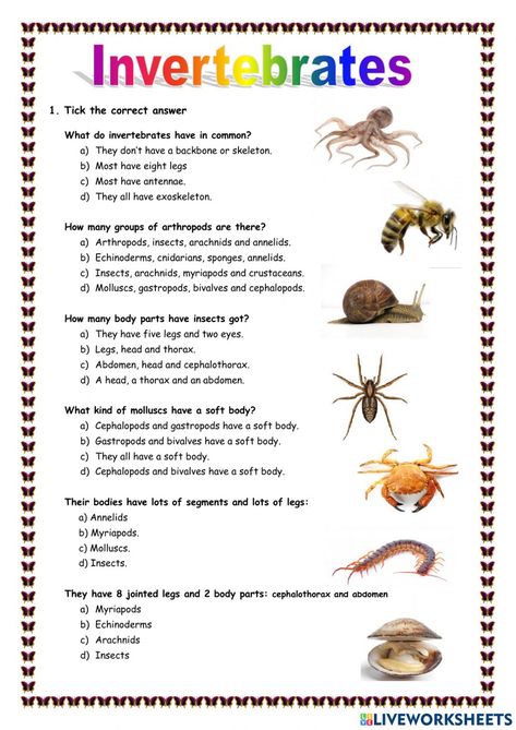 Invertebrates Worksheet, Character Worksheets, Vertebrates And Invertebrates, Animal Worksheets, Arthropods, Answer Keys, Learning Activities, Biology, Science