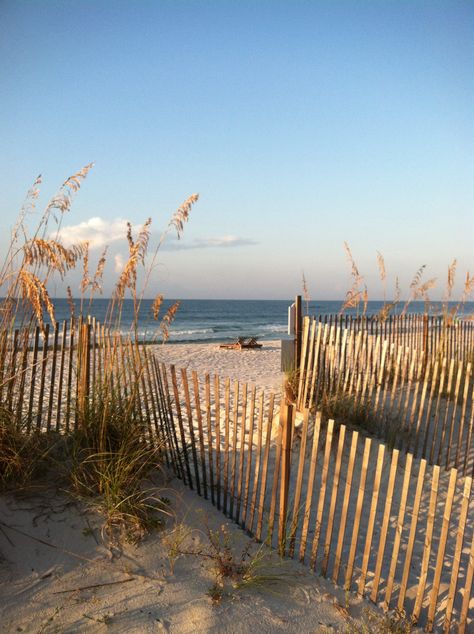 Gulf Shores, Alabama Gulf Coast Aesthetic, Gulf Shores Aesthetic, Gulf Shores Alabama Aesthetic, Golf Shores Alabama, Beach 2024, Galveston Beach, Gulf Shores Beach, Alabama Beaches, Orange Beach Alabama