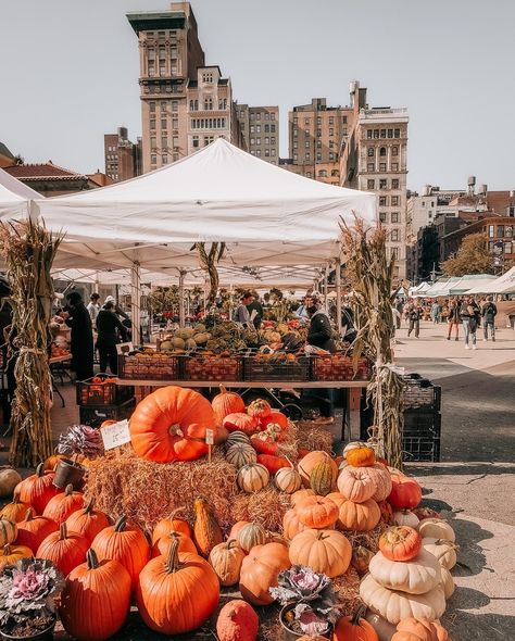 One of my favorite places in the fall to visit!⁠ ⁠ New York City! Many people may not consider the city to be a good place to visit in the fall but here are a few reasons to change your mind.⁠ ⁠ 🍁 Why Visit NYC in the Fall?🍂⁠ ⁠ 🍁 Gorgeous Fall Foliage:⁠ Central Park and the city streets come alive with vibrant autumn colors. Perfect for scenic strolls and photo ops!⁠ ⁠ 🎃🦃 Festivals & Events:⁠ Experience the magic of the Macy's Thanksgiving Day Parade, Halloween in Greenwich Village, and outdo... Nyc In The Fall, Nyc Thanksgiving, Fall Market, Thanksgiving Parade, Nyc Fall, Visit New York City, Autumn In New York, Thanksgiving Day Parade, Visiting Nyc