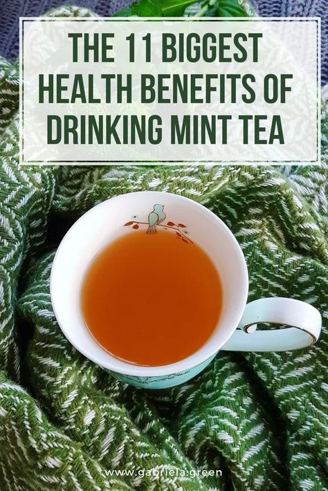 The 11 Biggest Health Benefits Of Drinking Mint Tea  Mint is a popular herb and it is used as a tea or a spice in the kitchen, fresh or dried. The health benefits of drinking mint tea are various - it can help improving digestion, fighting colds and coughs, reducing headaches, bad breath. #tea - Gabriela Green Mint Tea Benefits, Lemon Tea Benefits, Mint Benefits, Peppermint Tea Benefits, Fresh Mint Tea, Tea Health Benefits, Health Tea, Healthy Teas, Peppermint Tea