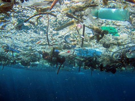 There Are At Least 5.25 Trillion Pieces of Plastic in the Ocean Great Pacific Garbage Patch, Ocean Cleanup, Marine Debris, Ocean Pollution, Save Our Oceans, Art Appliqué, Davos, Oceans Of The World, Plastic Pollution