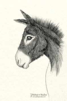 Donkey Drawing, Cute Donkey, Ear Art, Street Art Photography, Drawing Examples, Sketch Inspiration, Watercolor Animals, Horse Art, Animal Paintings