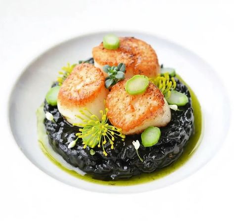 Global Edible ❤🎂👄 on Instagram: “Squid Ink Risotto with Scallops, Wild Garlic Follow us for the best picked daily recipes: @globaledible Description & Full credit goes…” Risotto With Scallops, Food Plating Techniques, Wild Garlic, Cocktail Desserts, Food Garnishes, Starters Recipes, Food Trends, 7k Followers, Chef Recipes