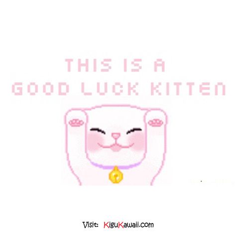 Just wanna share you this Good Luck Kitten.(♥ω♥ )~♪ Follow Kigu Kawaii for more cute stuff! #kigukawaii #cute #kawaii #adorable #goodluck #charm #kitten #cat #animal #pretty #pastel Goodluck Message For Him, Goodluck Message, Good Luck Cute, Sweet Messages For Boyfriend, Good Luck Cat, Ipad Widgets, 2024 Goals, Message For Boyfriend, Messages For Her