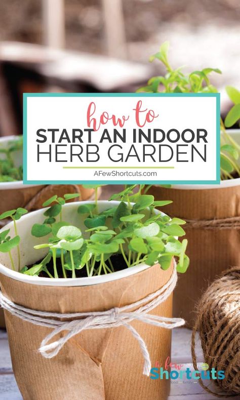 Starting an indoor herb garden is so easy and has so many benefits it is a no-brainer. Learn how to start an indoor herb garden. So simple and rewarding! #gardening #herbgarden #organic #herb #garden Basil Plant Indoors, Growing Food Indoors, Growing Herbs Indoors, Small Pots, Indoor Herb, Types Of Herbs, Basil Plant, Vertical Herb Garden, Culinary Herbs