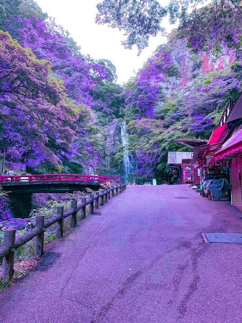 Purple aesthetic Minah Falls in Osaka in Japan x The purple Way ~.~ Japan Aesthetic Purple, Japan Purple, Aesthetic Purple, Japan Aesthetic, Purple Aesthetic, Character Aesthetic, The Purple, Outlander, Osaka