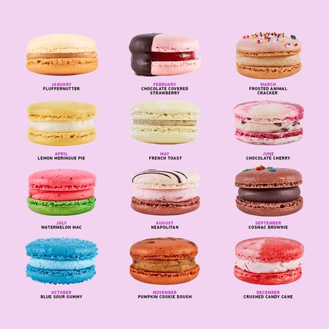 Get the best of both worlds with the 2021 calendar bundle. Featuring all the flavors of the month for macarons AND Mookies from 2021. Cool Macarons, January Flavors, Cute Macaroons, Macaron Inspiration, French Macarons Flavors, Pumpkin Cookie Dough, Macaron Bakery, Macaroons Flavors, Best Macarons