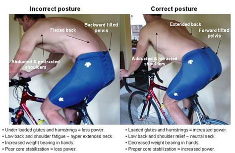 When assessing back pain cycling, a broad range of physiological culprits should be considered. -Causes of Low Back Pain Cycling -On The Bike Solutions Cycling Muscles, Digital Wellbeing, 2024 Lifestyle, Bikes Black, Bike Maintenance, Best Road Bike, Road Biking, Black Cube, Cycling Fitness